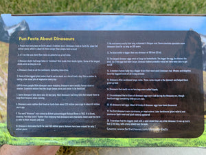 Back of a dinosaur toy packaging with text on a grassy background
